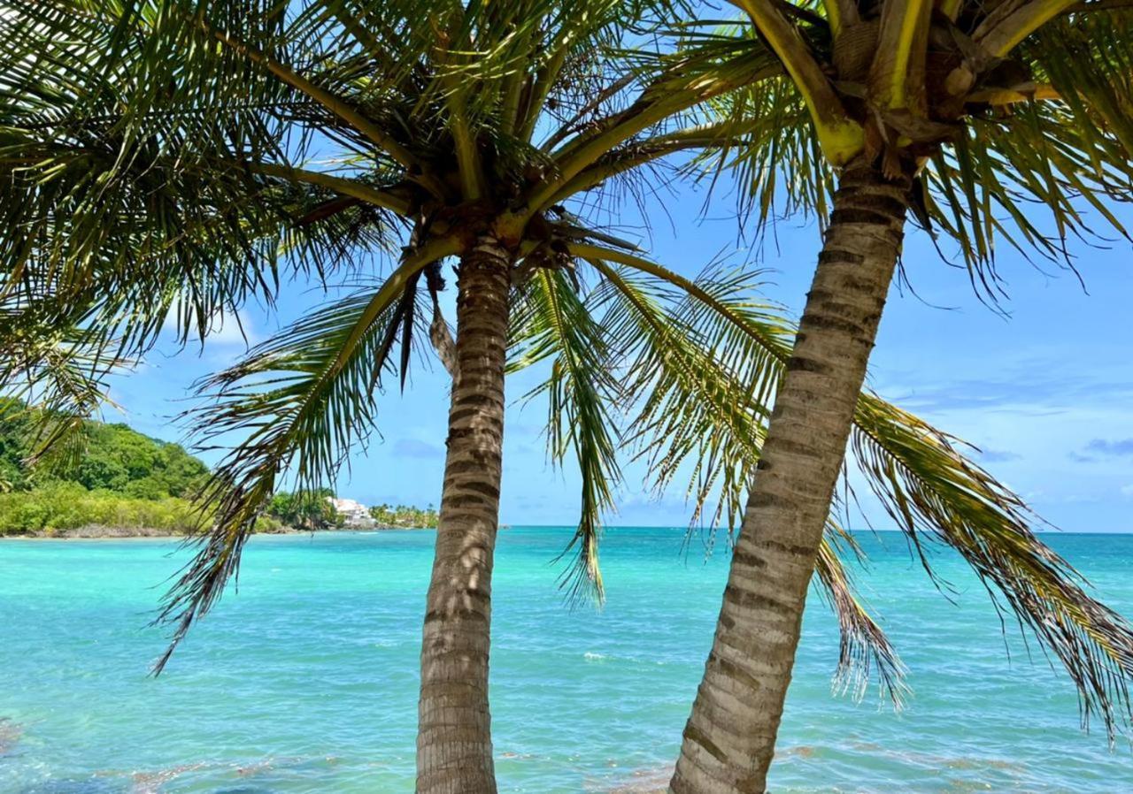 Jolie Petite Villa Sur Une Presqu'Ile Le Gosier  Exterior foto